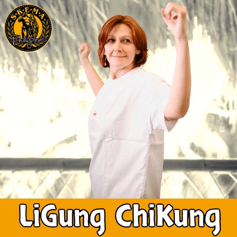 What is ChiKung / QiGong?