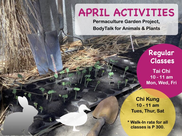 April Activities