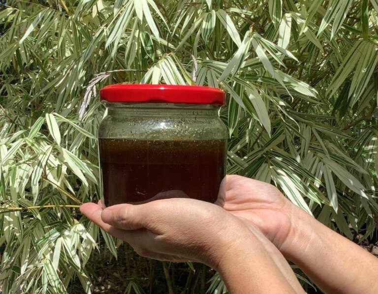 First-Ever Kalipay Honey