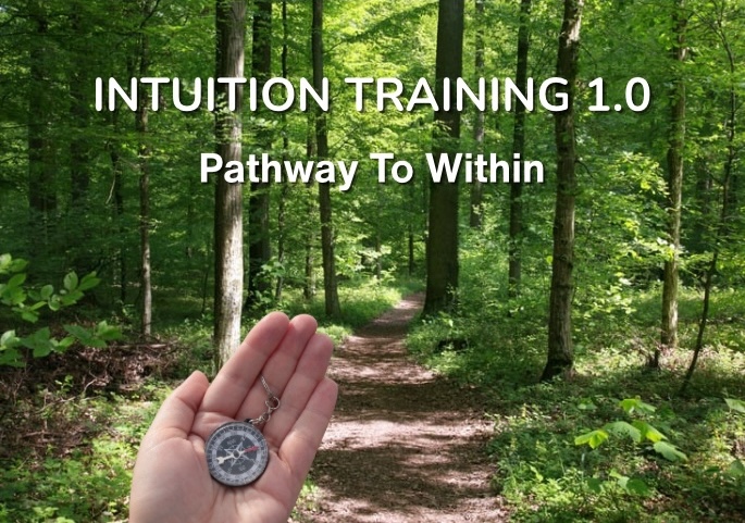 Intuition Training 1.0