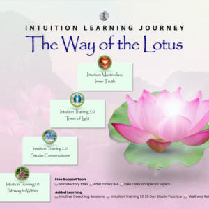 2026 Intuition Learning Journey