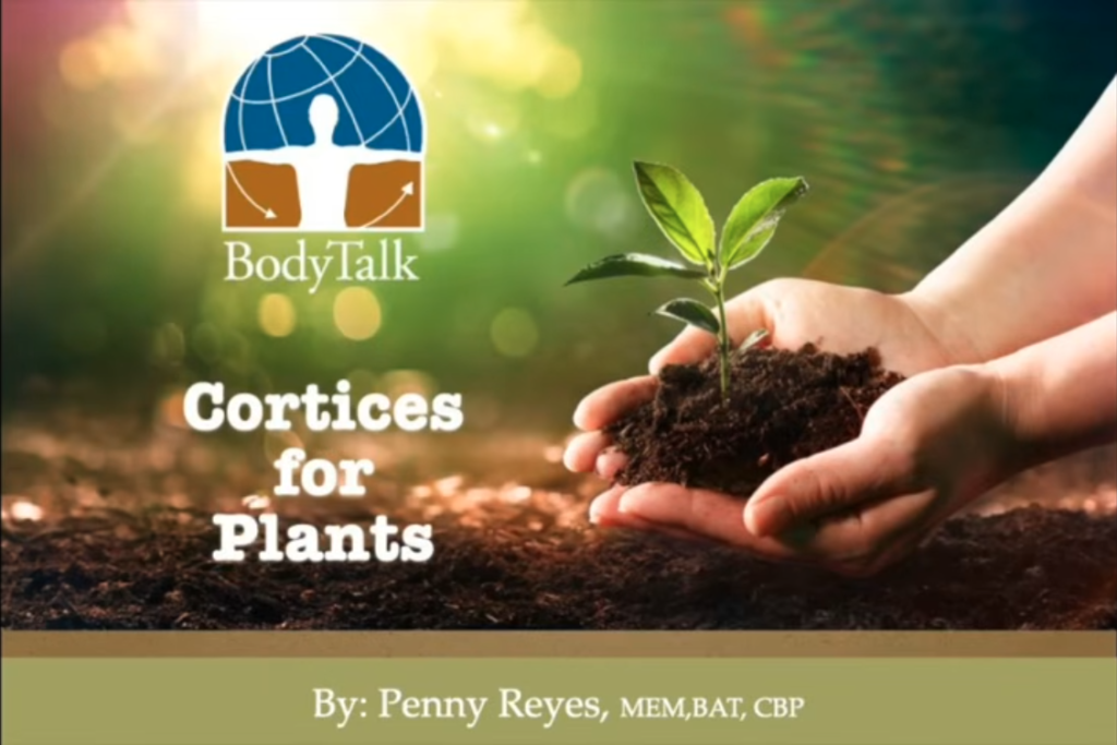 BodyTalk Cortices for Plants